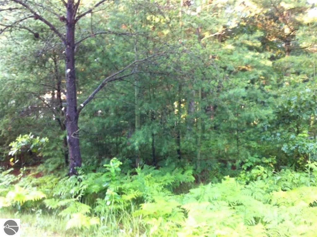 N/A Huron Breeze Drive - Photo 1