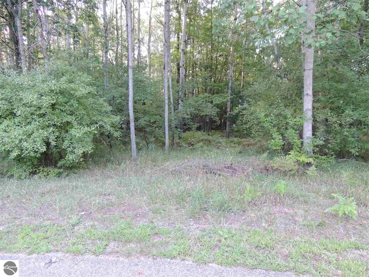 2007 Castle Court - Photo 1