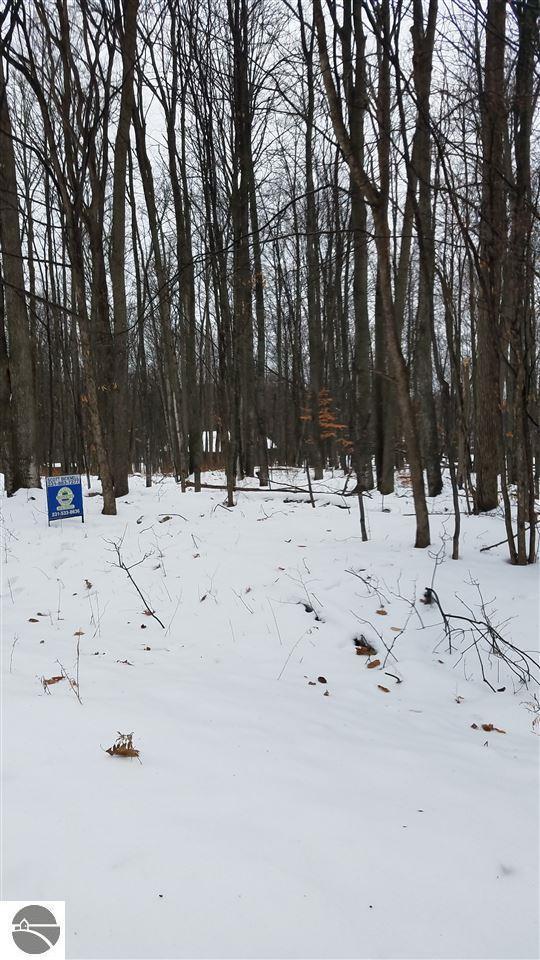 44 Ridge Run - Photo 1