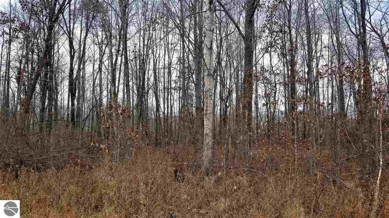 0 Huron - Photo 1