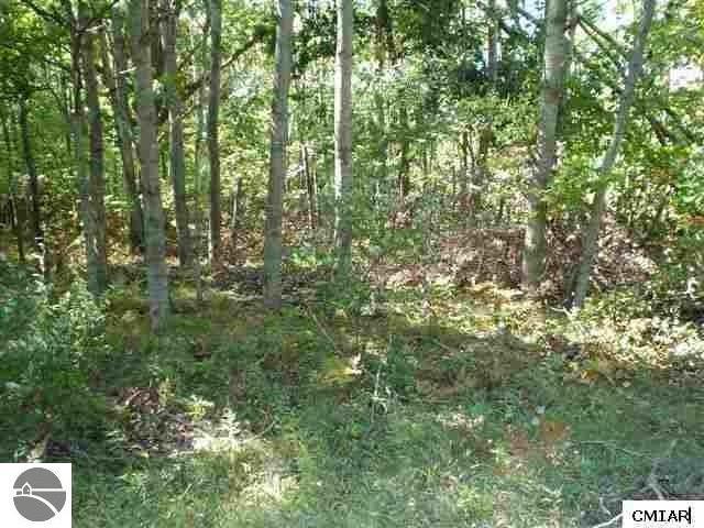 995 Duquesa Drive - Photo 1