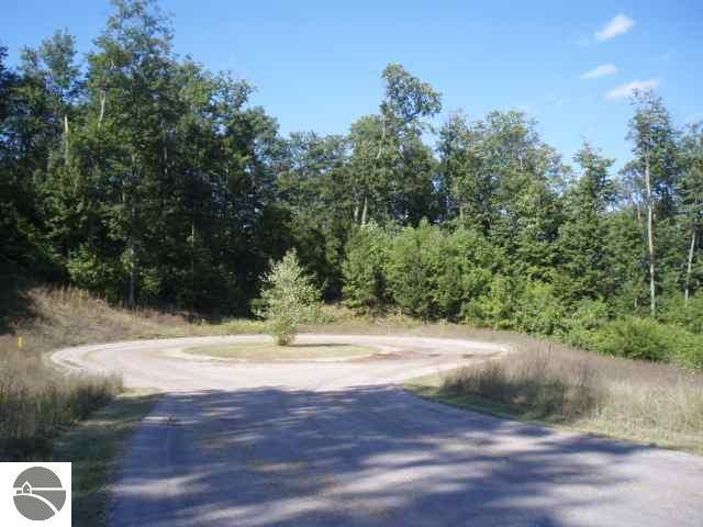 000 Timber Valley Court - Photo 1