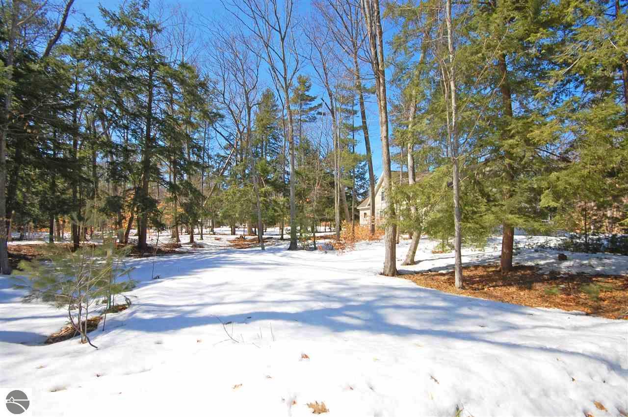 19 Pine Trace - Photo 1