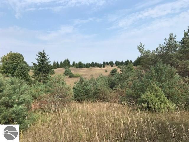 00 Pasanen Road - Photo 1