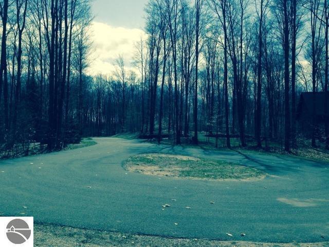 000 Hawks Spur - Photo 1