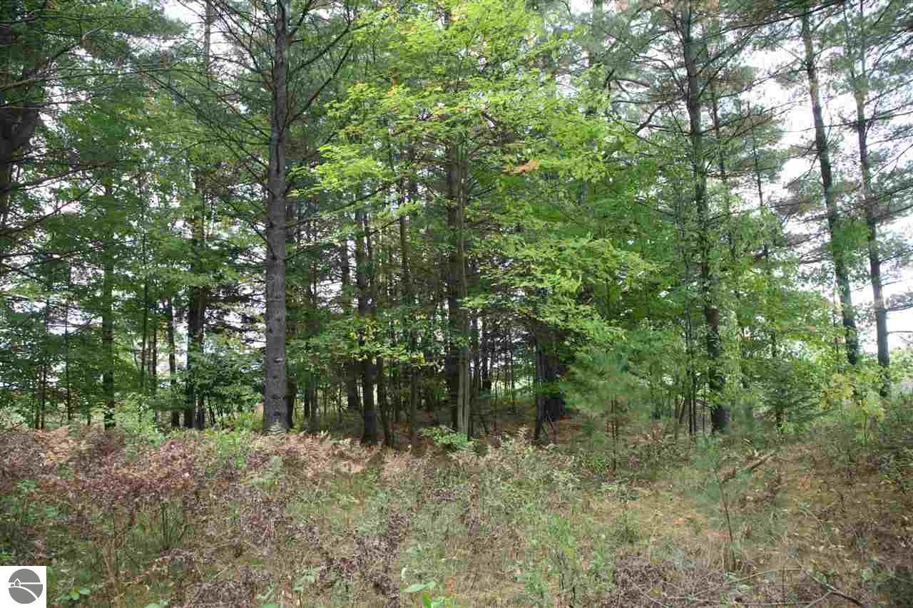 lot 099 44 1/2 Road - Photo 1