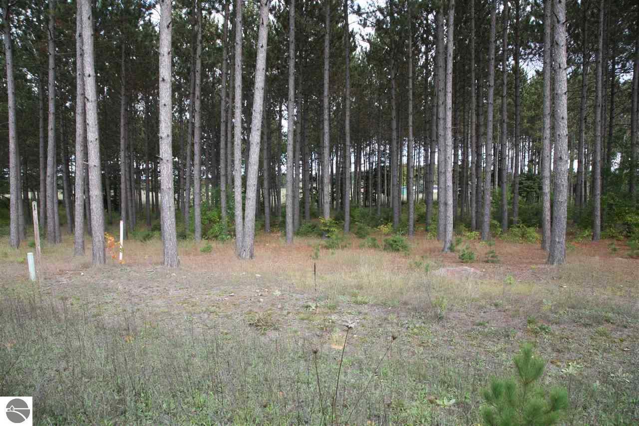 2 lot Scenic Woods Circle - Photo 1