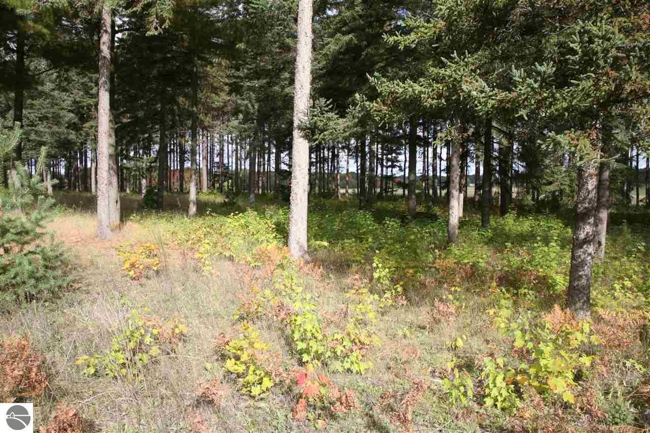 3 lot Scenic Woods Circle - Photo 1
