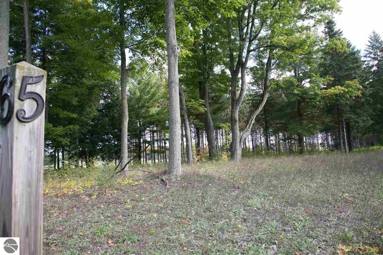 5 lot Scenic Woods Circle - Photo 1