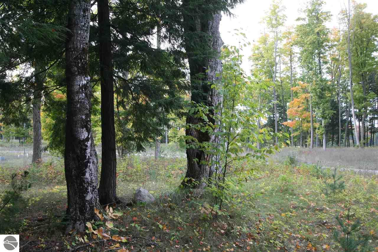 18 lot Scenic Woods Circle - Photo 1