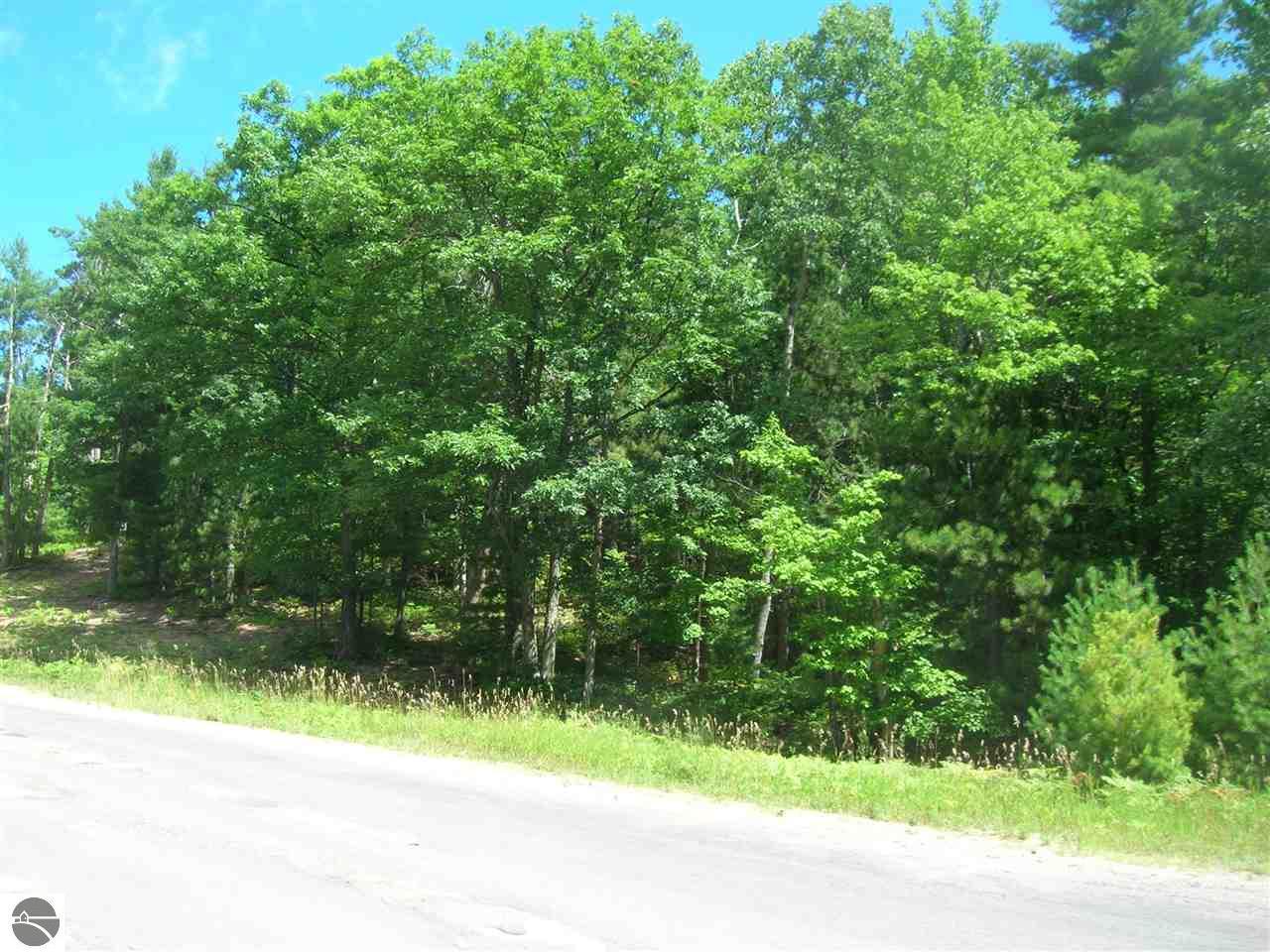 00 Maplewood Lane - Photo 1