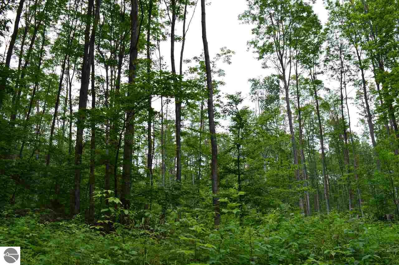 00 Co Road 571 - Photo 1