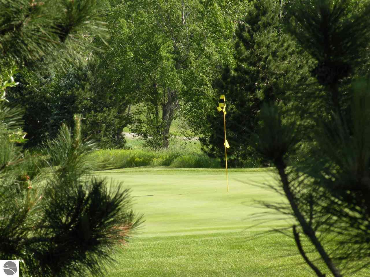 TBD Golf Meadows Drive - Photo 1