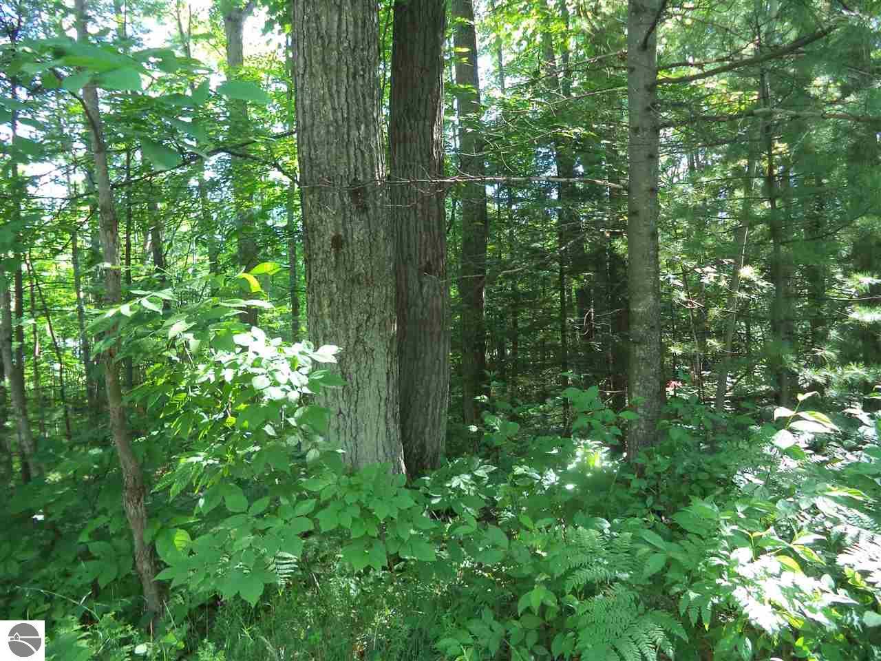 #3 Loud Dam Road - Photo 1