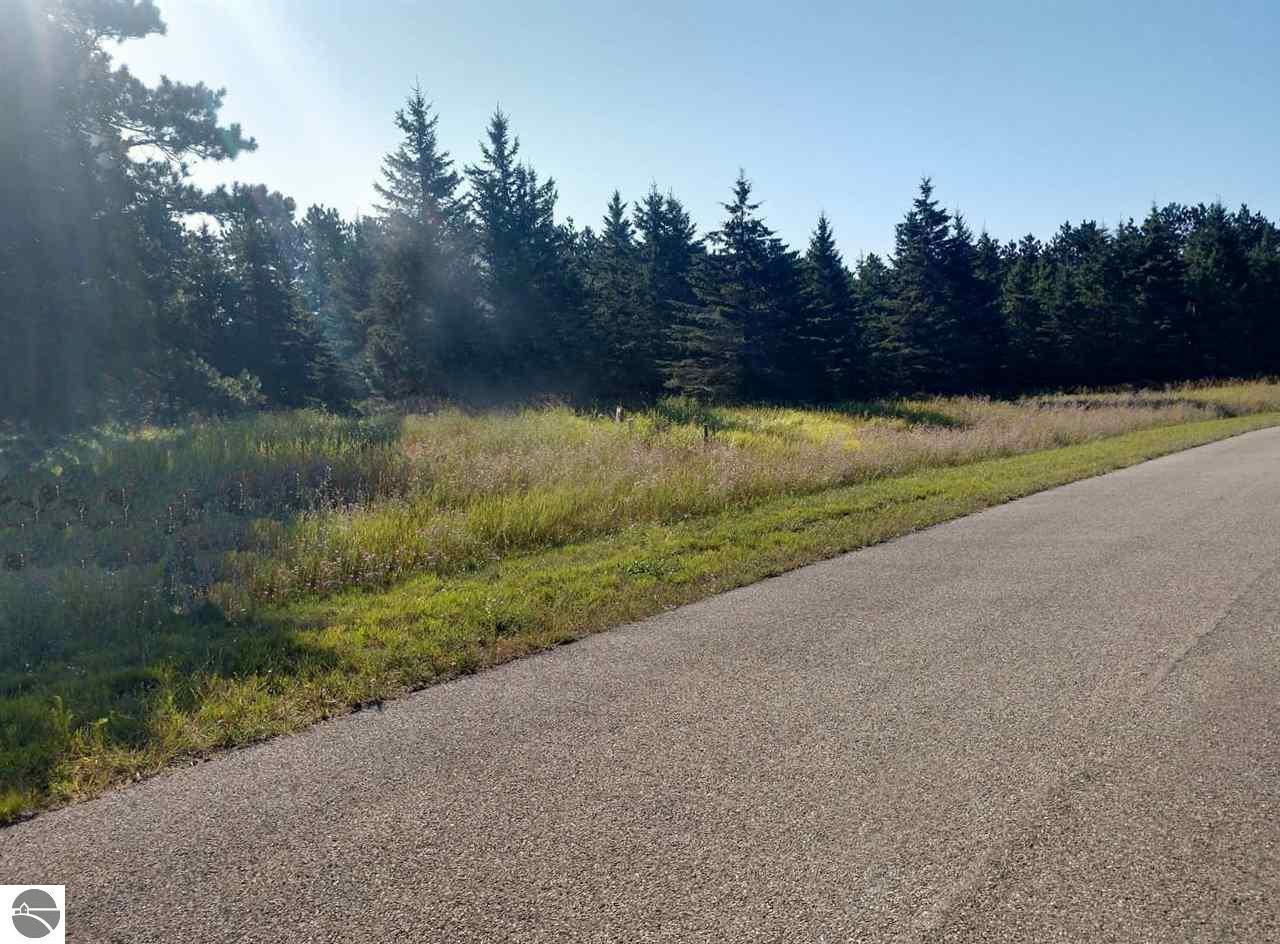 Lot 14 Lipp Farm Road - Photo 1
