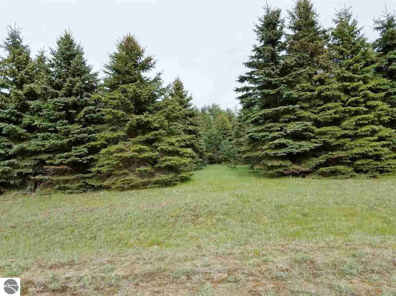 Lot 16 Lipp Farm Road - Photo 1