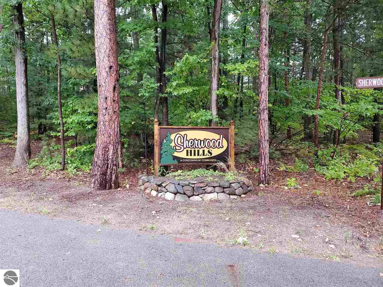 3902 Sherwood Forest - Photo 1 3902 Sherwood Forest - Photo 1