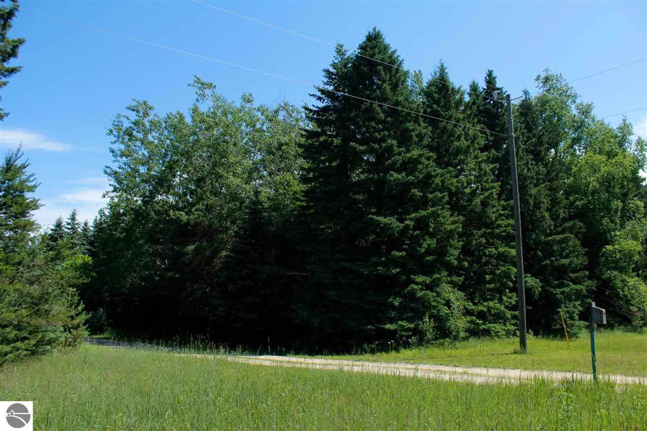 Menominee Trail - Photo 1