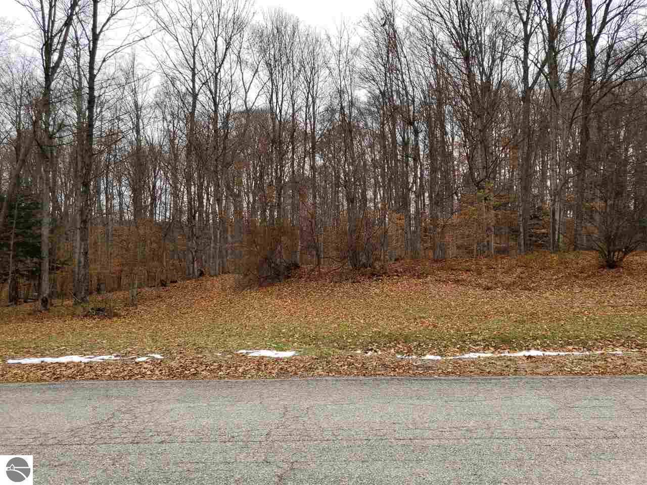 N Lot Nichols Road - Photo 1