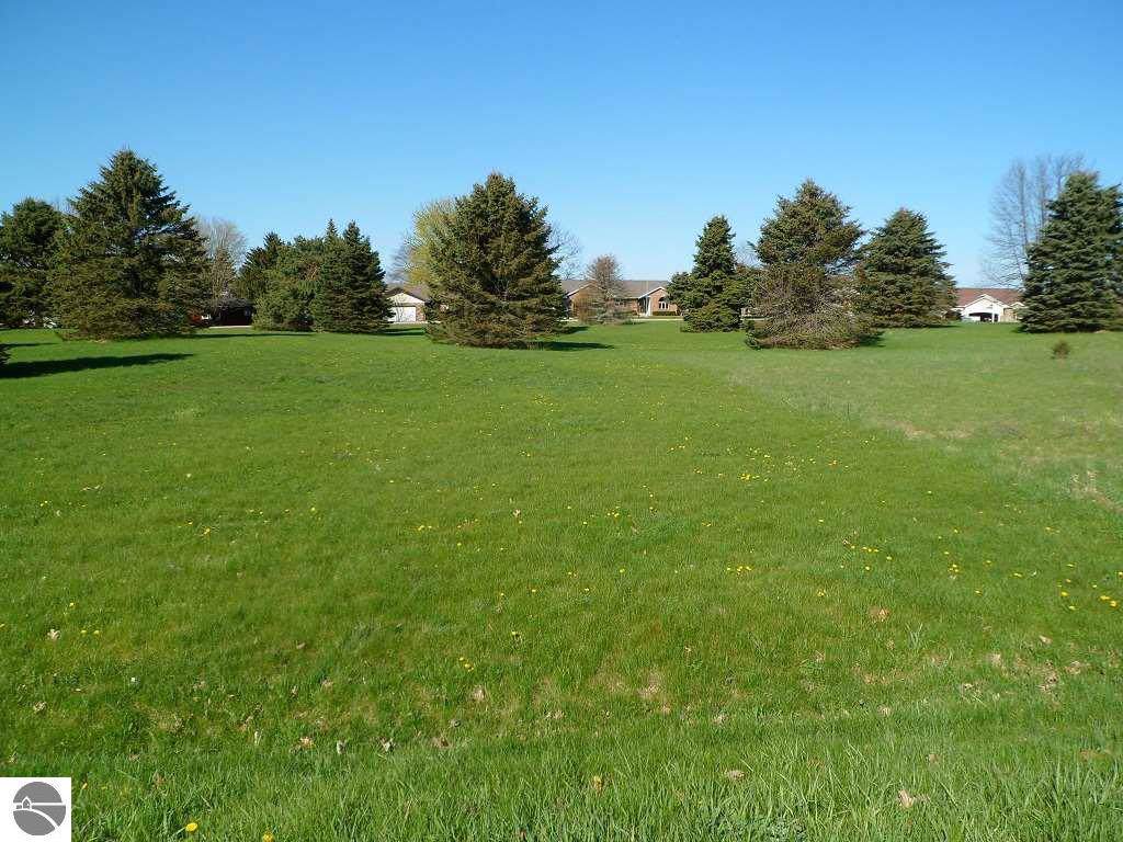 1036 Par Drive - Photo 1