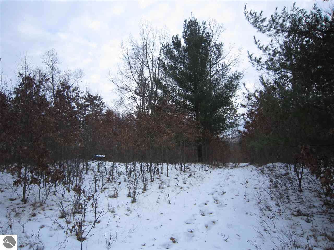 N/A Schmidt Road - Photo 1