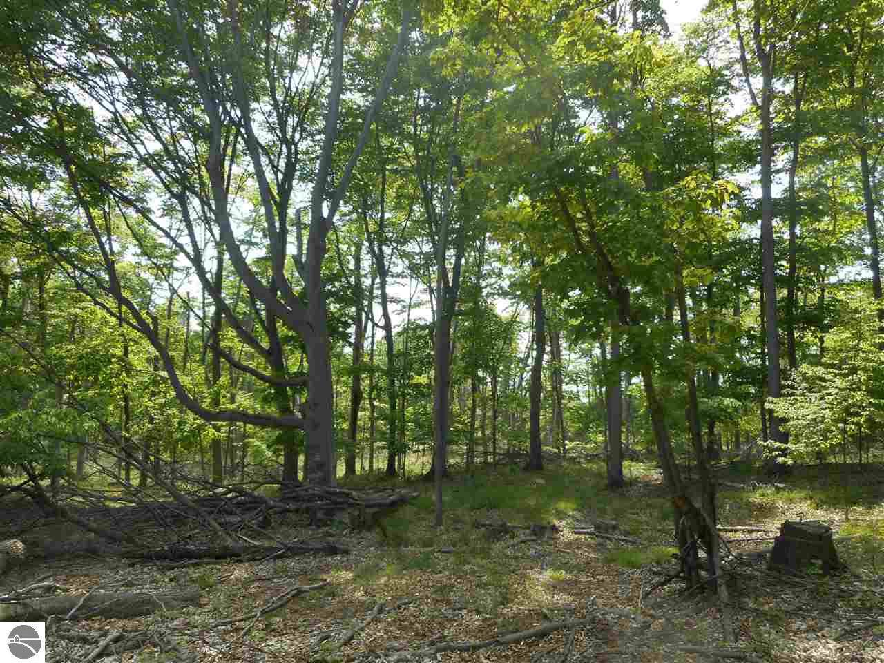 Maxey Road - Photo 1