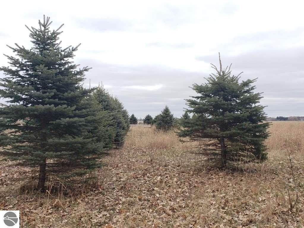 5964 Cleveland Road - Photo 1