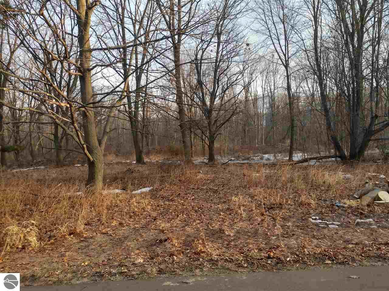 N/A Point Augres Road - Photo 1