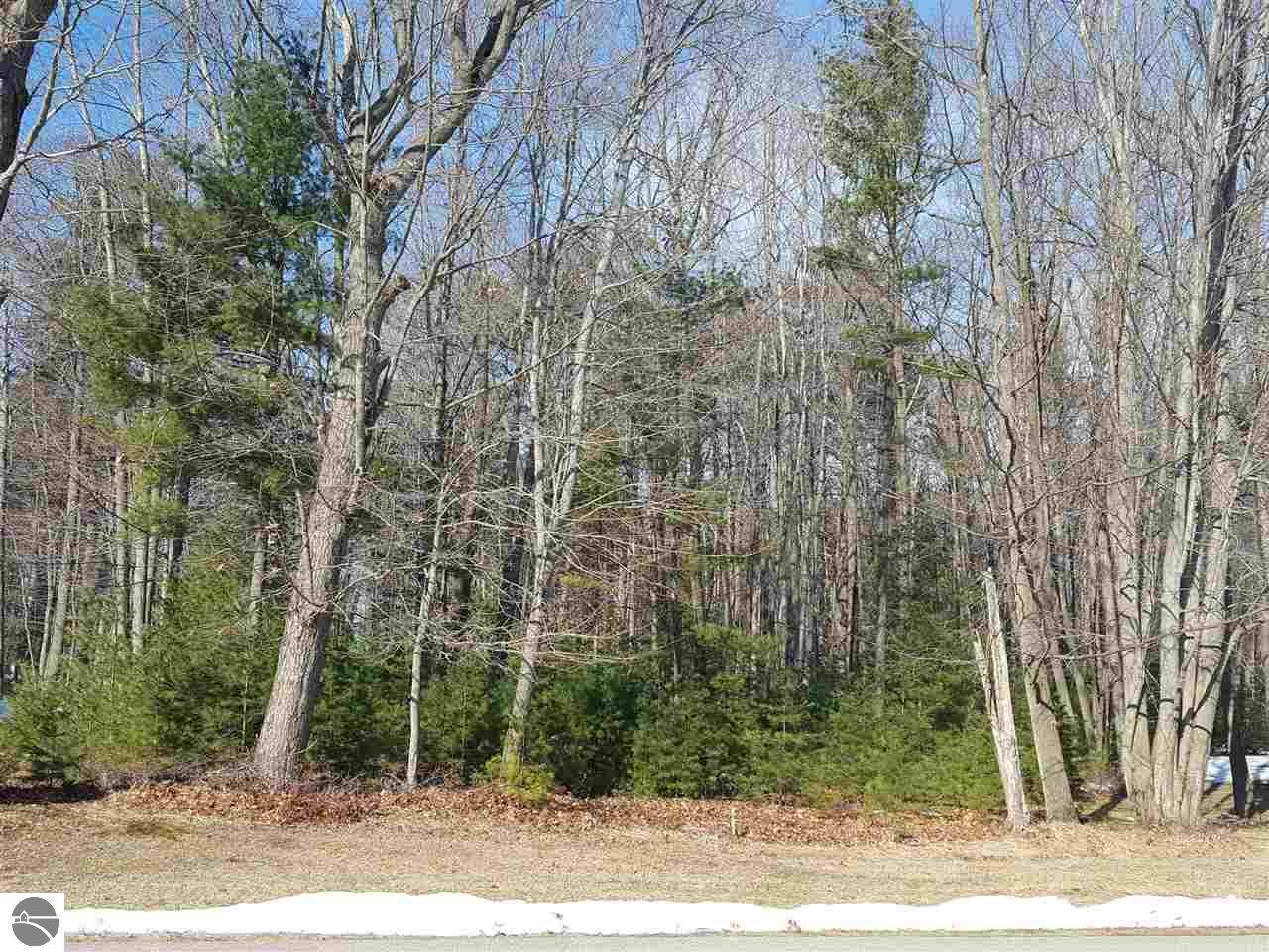 0 Schirmer Drive - Photo 1