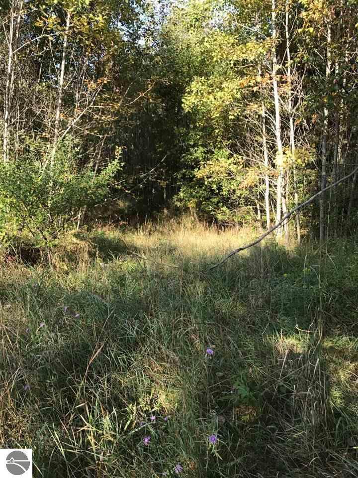 3464 Kimberlin 1 Road - Photo 1