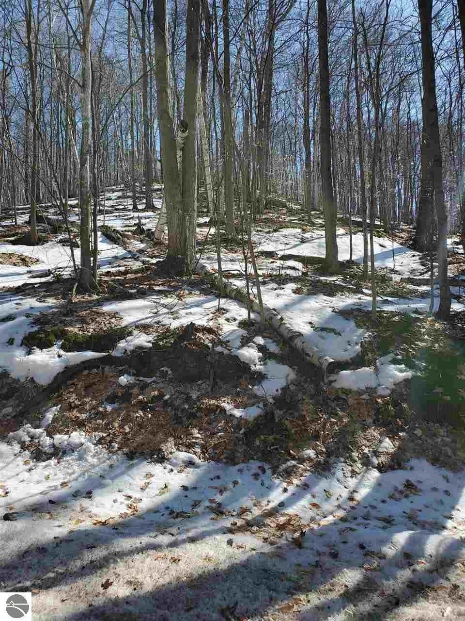 Spring Valley Road - Photo 1
