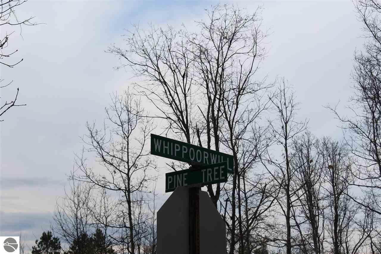 00 Timber Lane - Photo 1