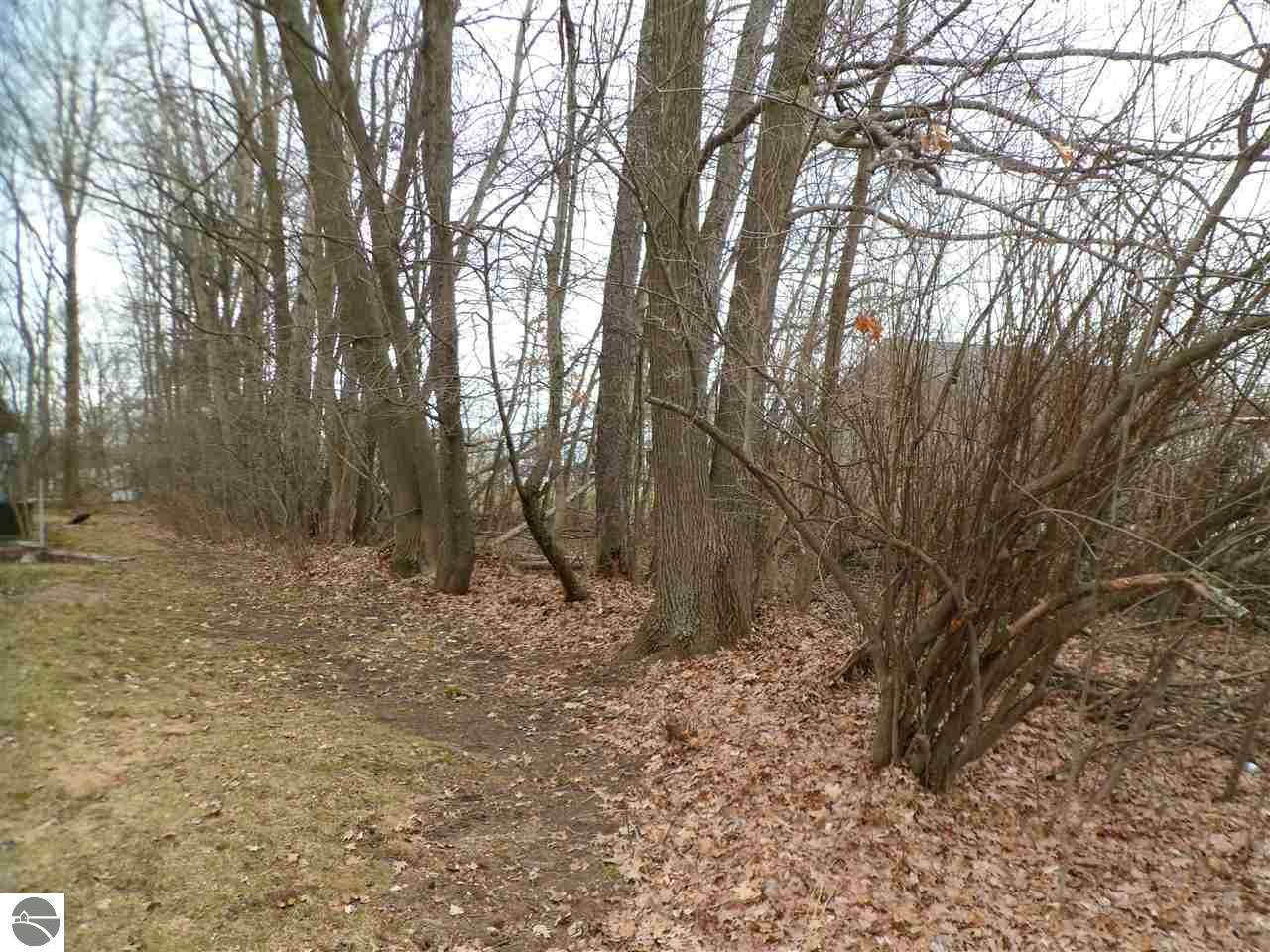 1008 Monterrey Trail - Photo 1