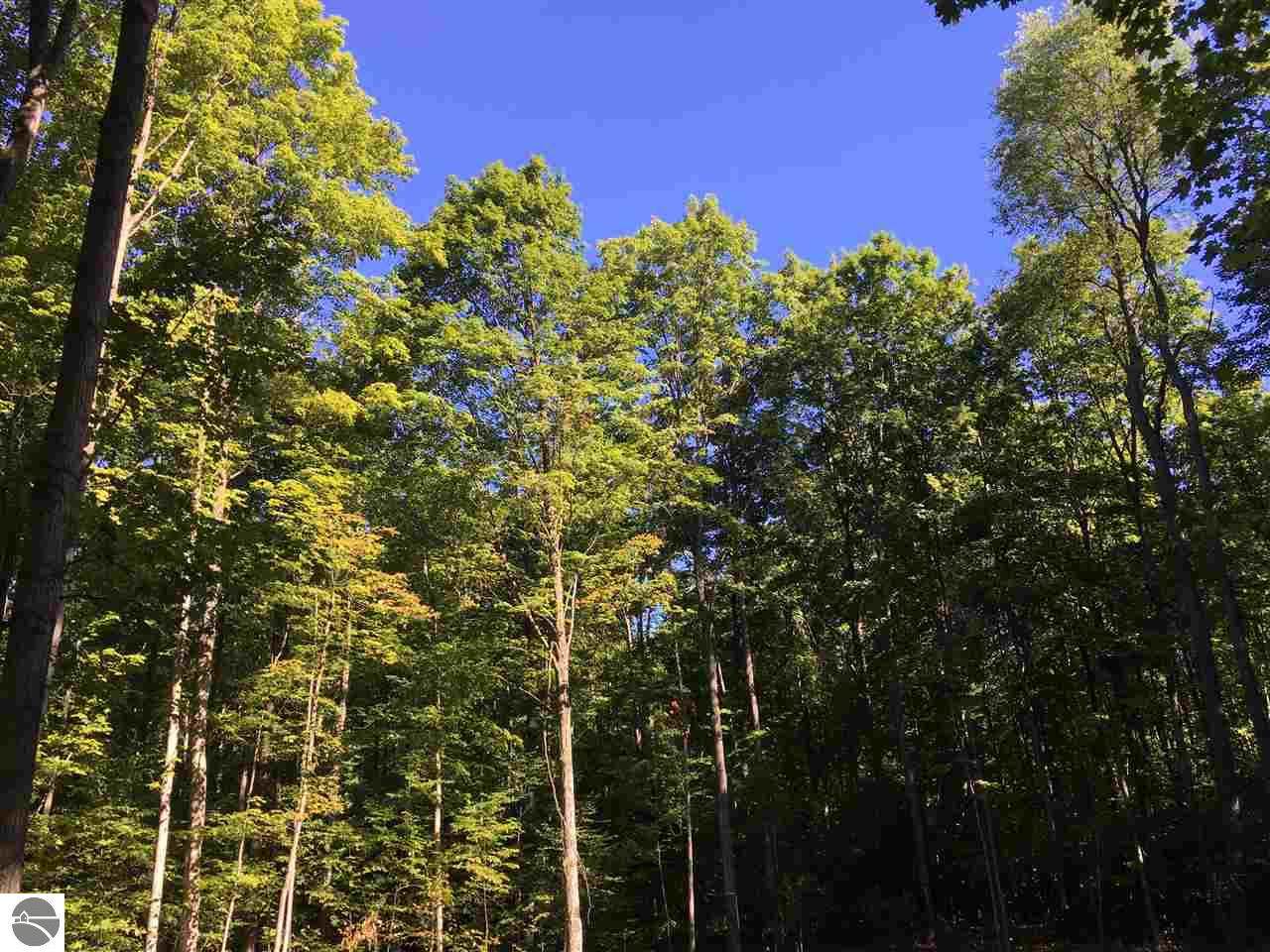 Black Walnut Lane - Photo 1