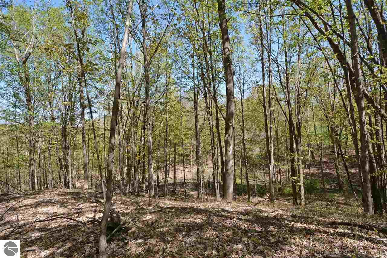 Marshall Road - Photo 1