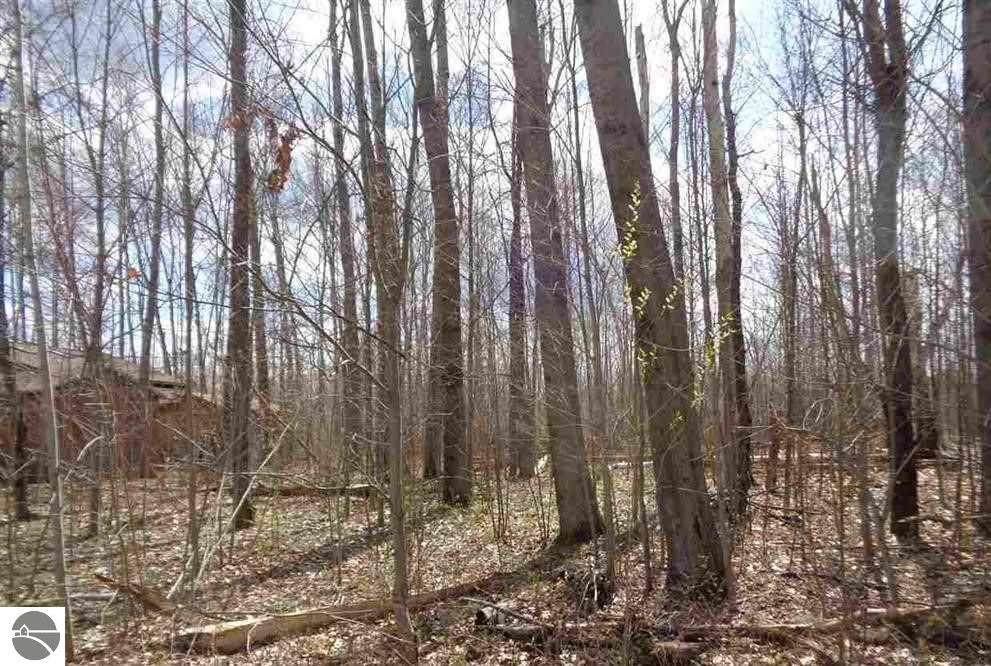 Lot 4 Norwegian Trail - Photo 1