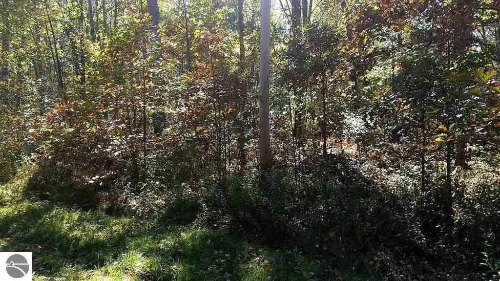 TBD Lakeside Trail - Photo 1