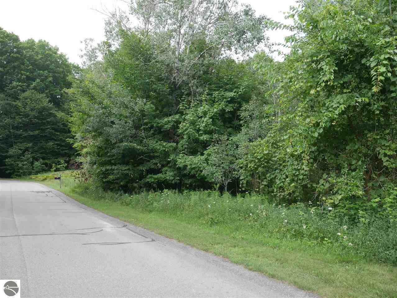 00 Powell Lane - Photo 1
