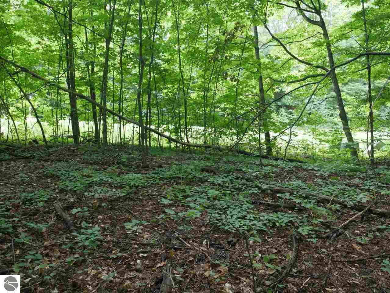 3362 Troon South - Photo 1