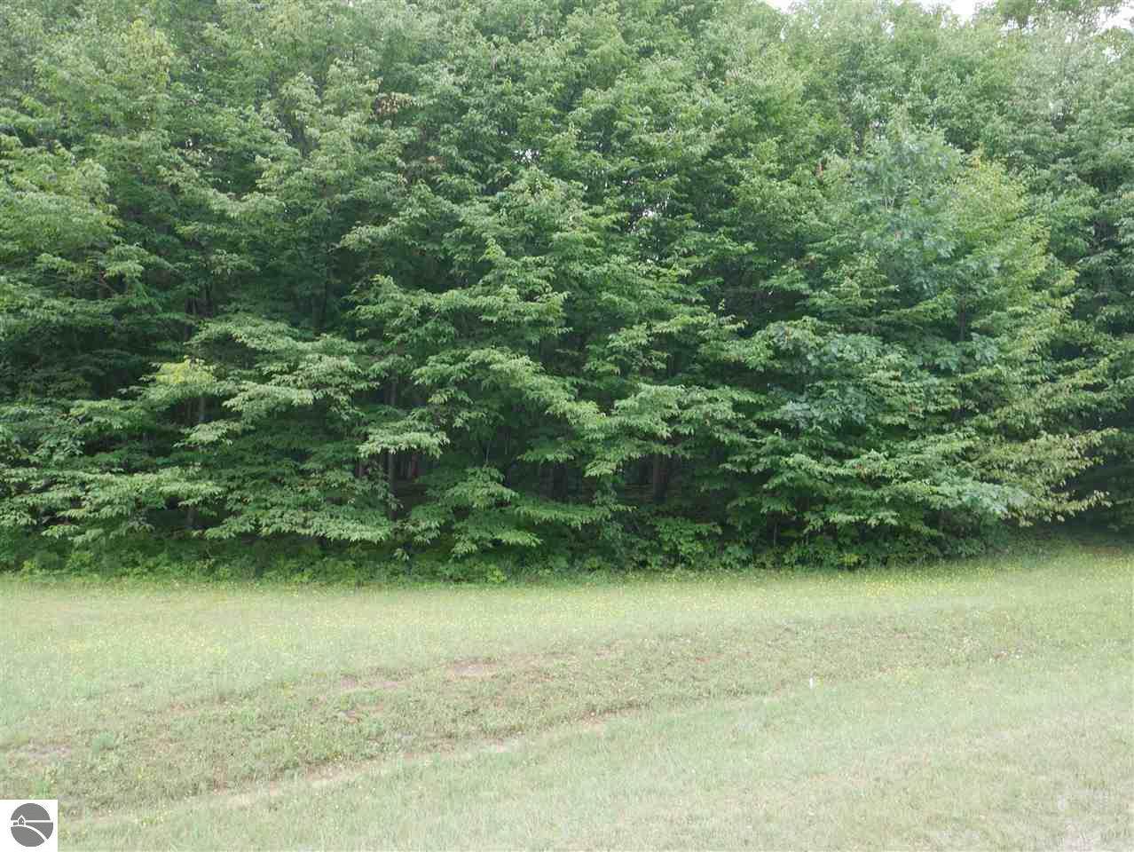 0 Ridge Run Road - Photo 1