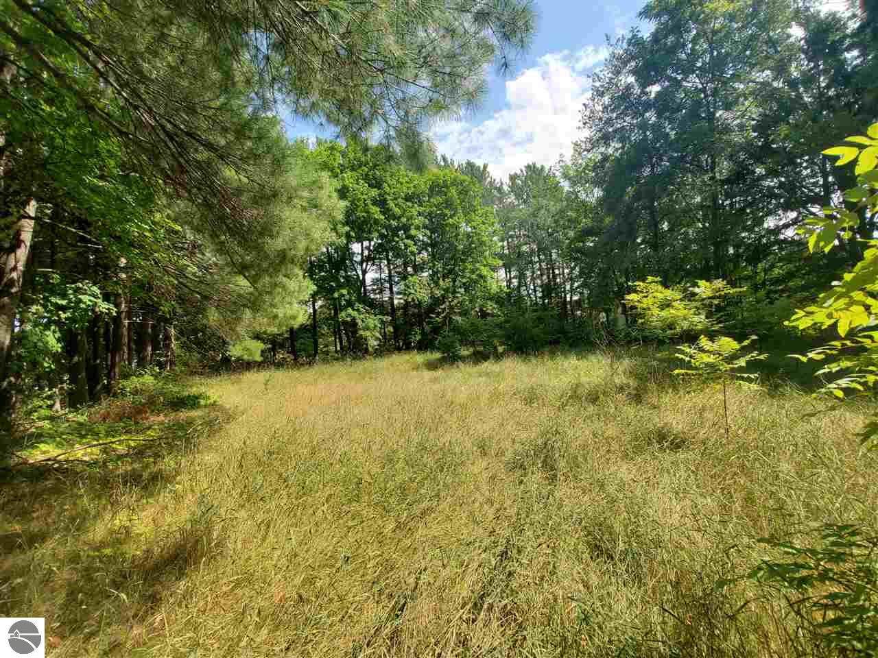 0 Garfield Street - Photo 1