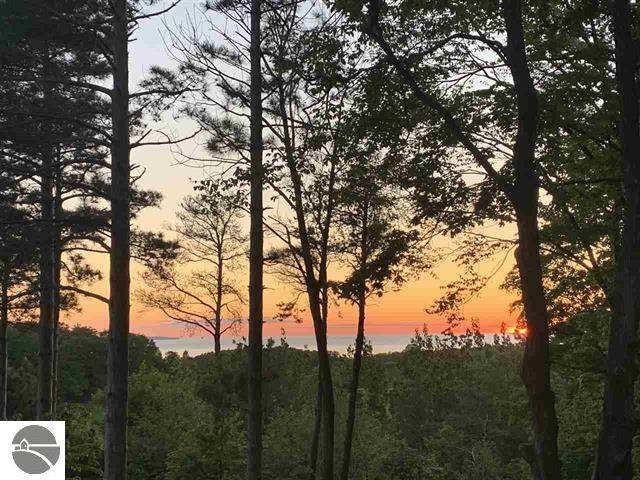 00 Manitou Trail - Photo 1