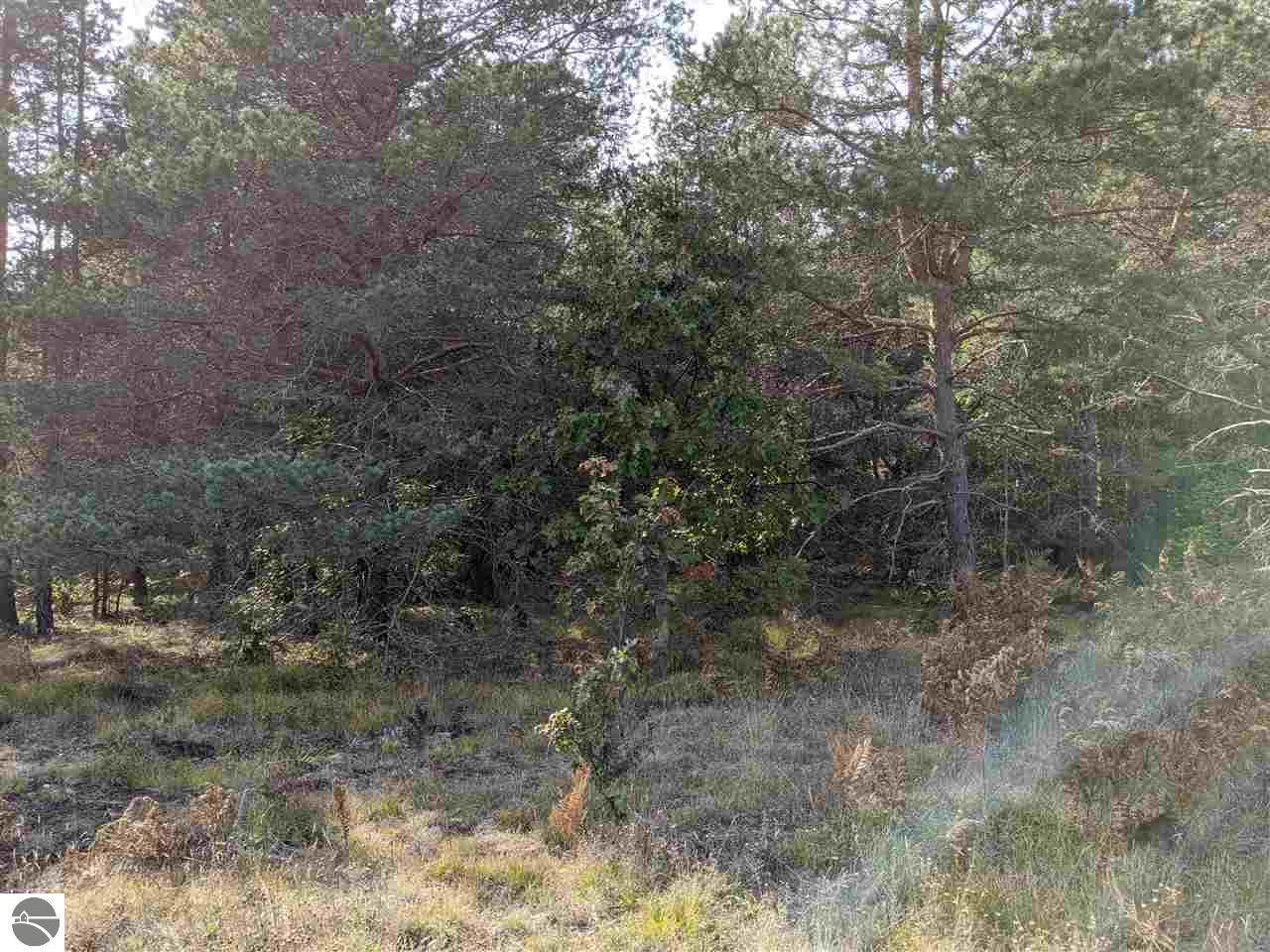 210 Acres 39 Road - Photo 1
