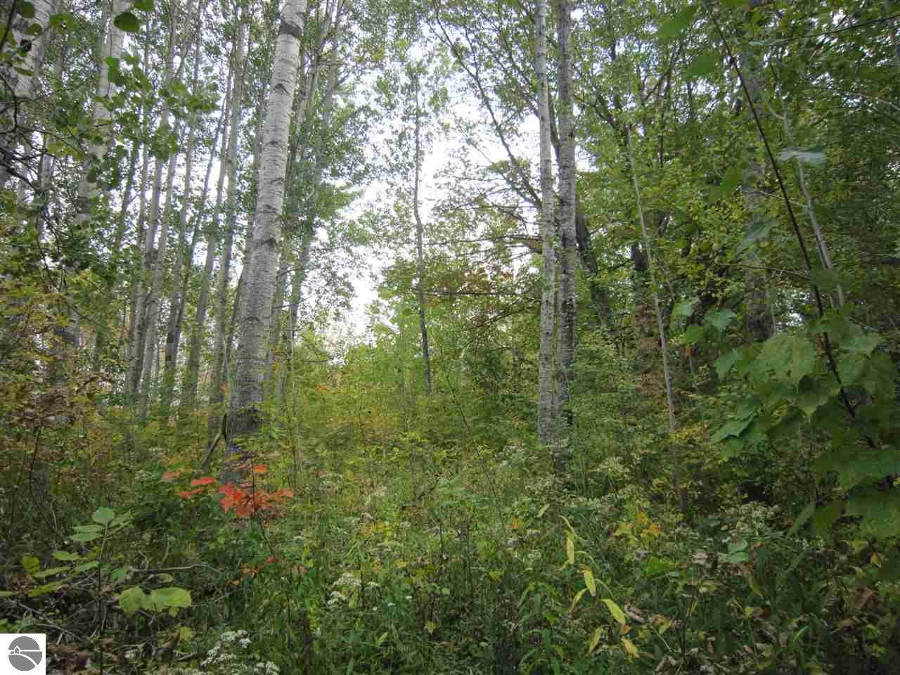 N/A Siegrist Road - Photo 1