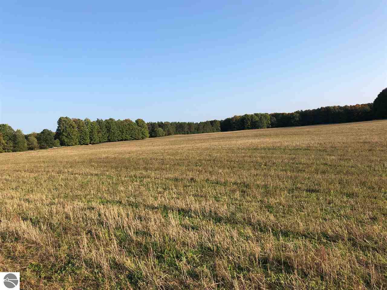 6362 Gleaner Hall Road - Photo 1