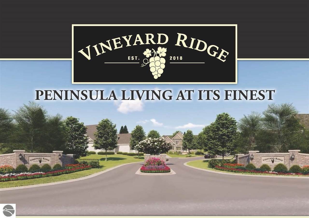 79 Vineyard Ridge Drive - Photo 1