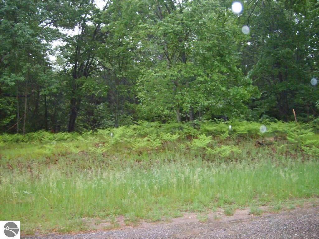00 Dickerson Road - Photo 1