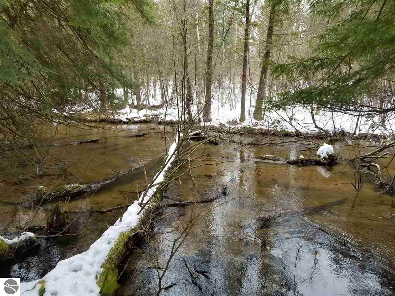 22 Acres Nessen Road - Photo 1