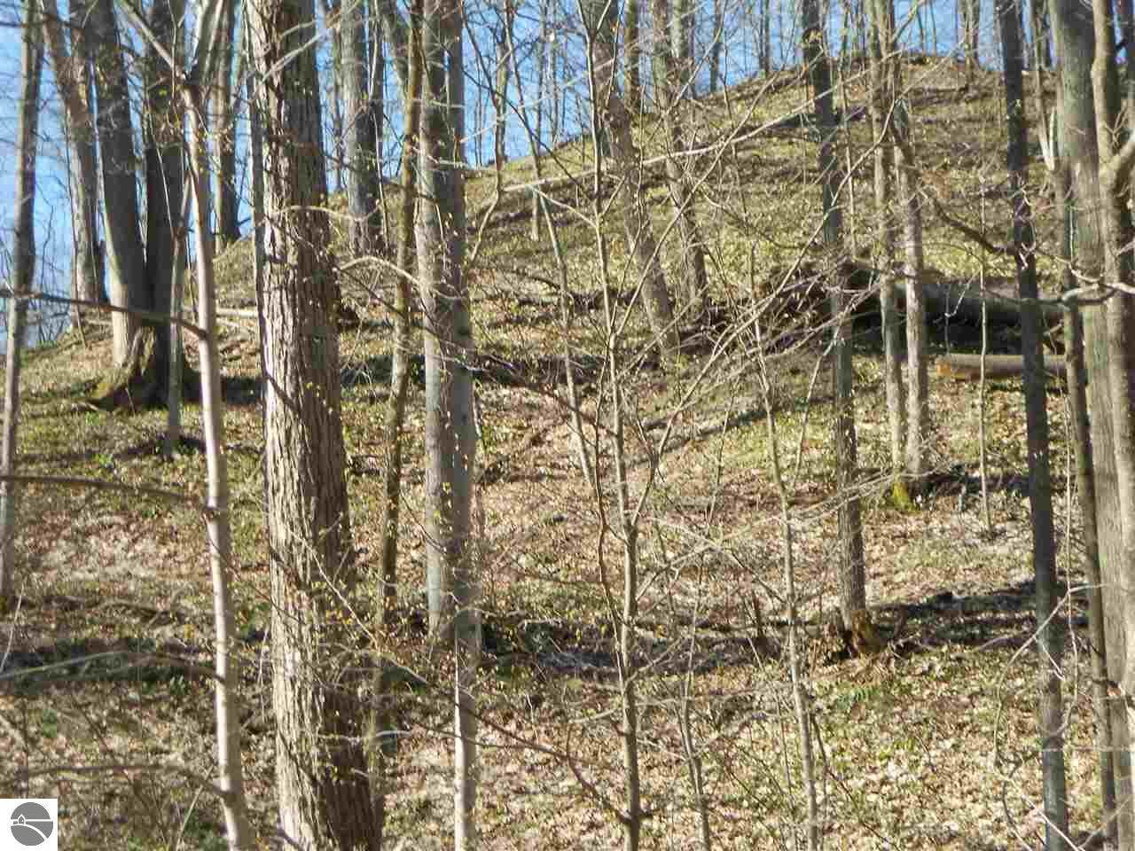 1233 River Mountain Road - Photo 1