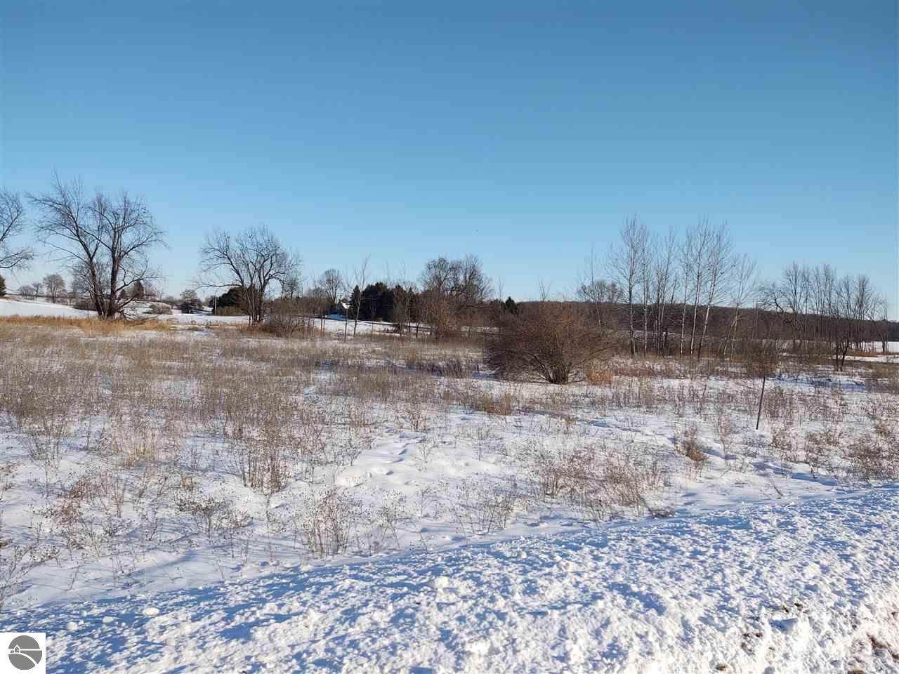 TBD Plainfield Road - Photo 1
